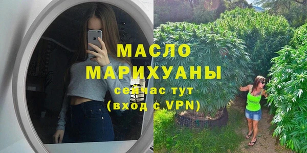 молекула духа Переславль-Залесский