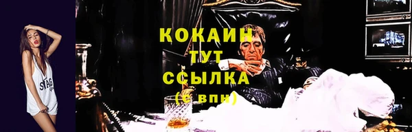 молекула духа Переславль-Залесский