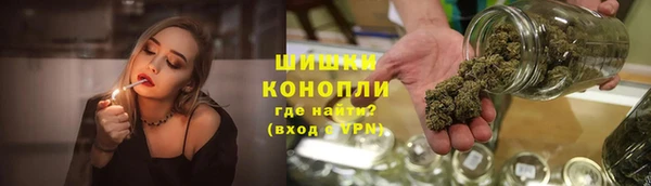 молекула духа Переславль-Залесский