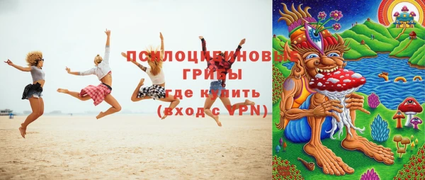 молекула духа Переславль-Залесский