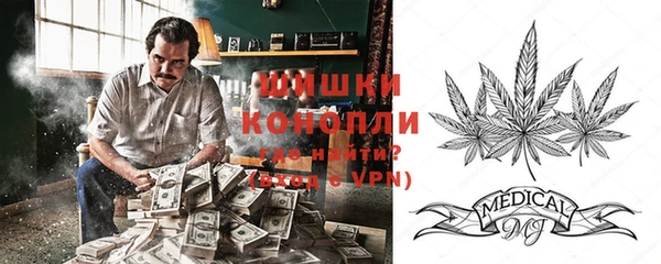 молекула духа Переславль-Залесский